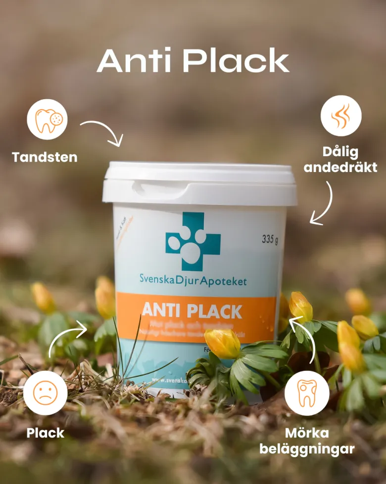 Anti Plack