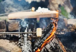 BBQ Stick