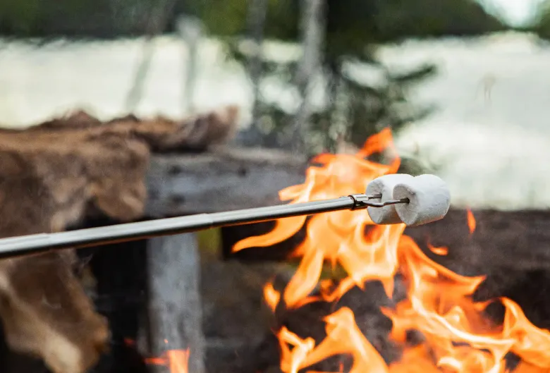 BBQ Stick