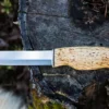 Bear Knife | Curly Birch