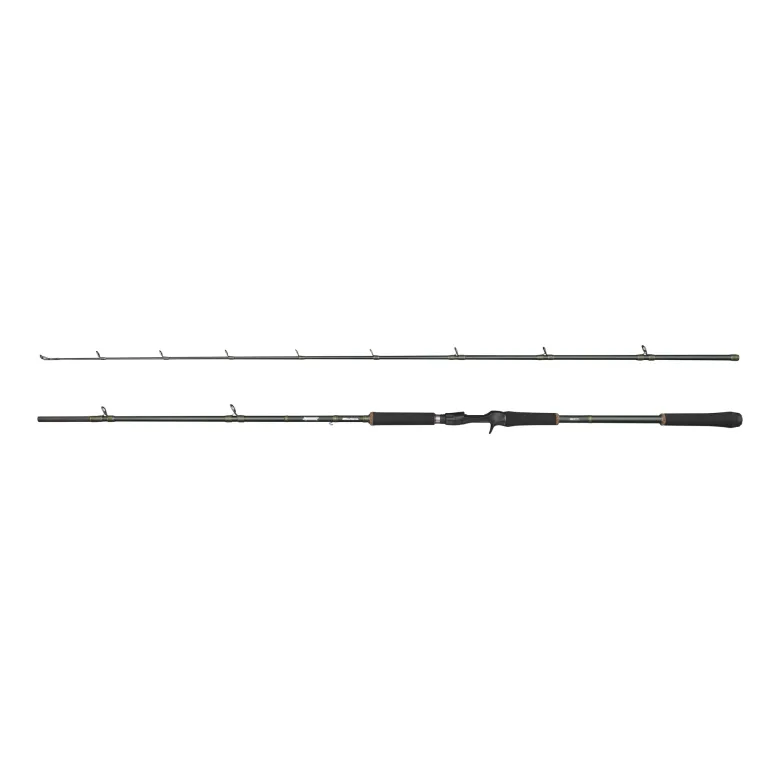 Beast X Casting Rod