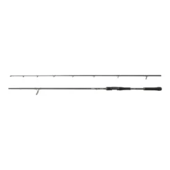 Beast X Spinning Rod