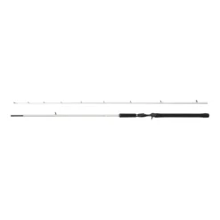 Beast X Trolling Casting Rod