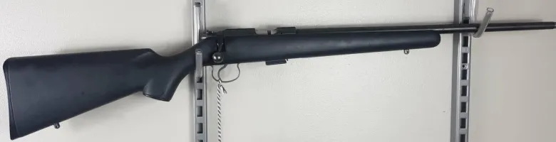 Beg CZ 455 Syntet 22LR ID247460