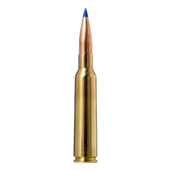 Bondstrike | Ammunition