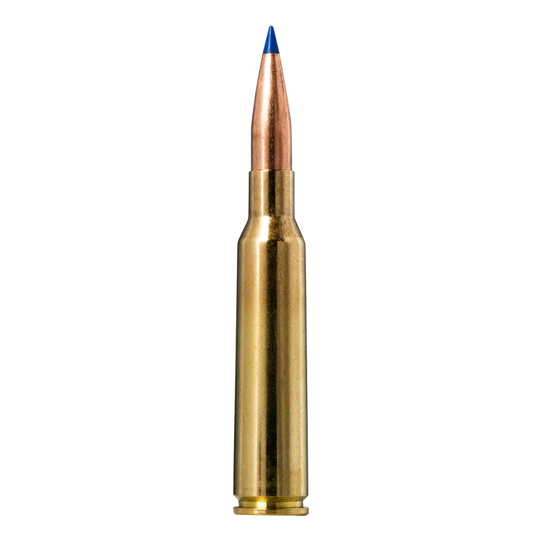 Bondstrike | Ammunition