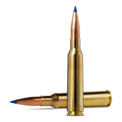 Bondstrike | Ammunition