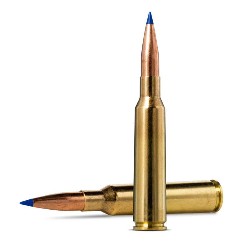 Bondstrike | Ammunition