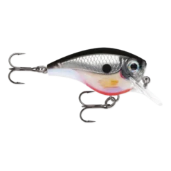 Bx Brat | 5cm