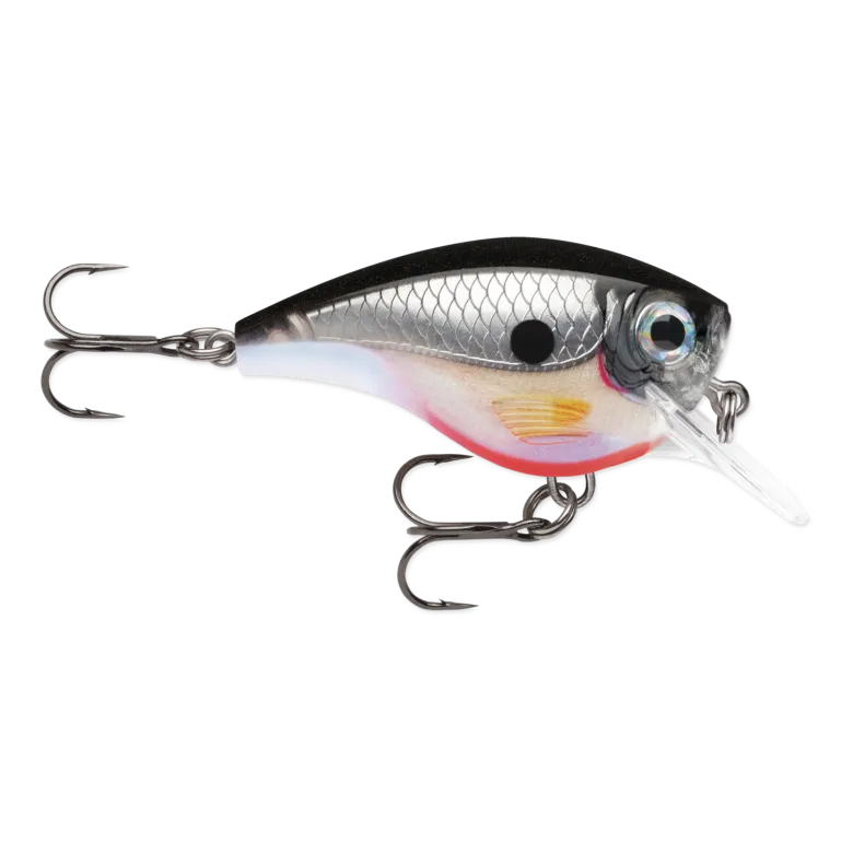 Bx Brat | 5cm
