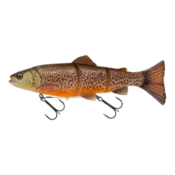 3D Line Thru Trout | 25 cm cm