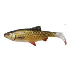 3D River Roach | 18cm