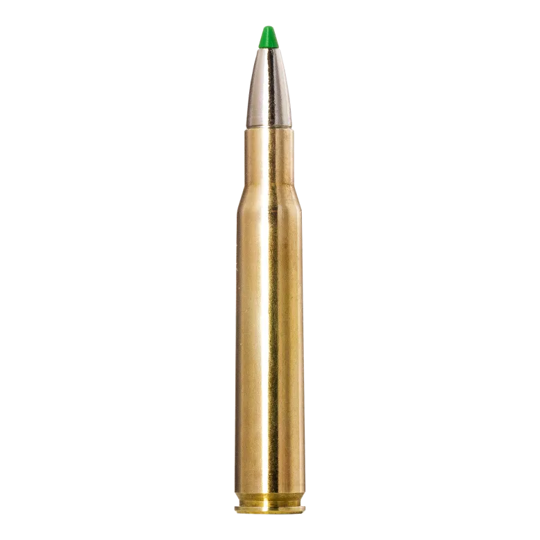 Ecostrike | Ammunition