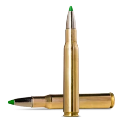 Ecostrike | Ammunition