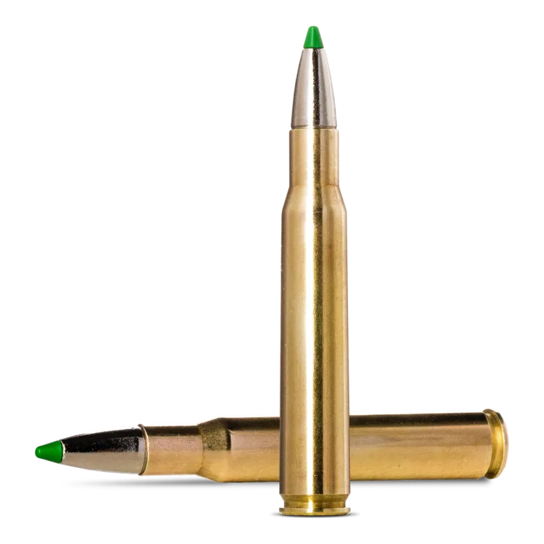 Ecostrike | Ammunition