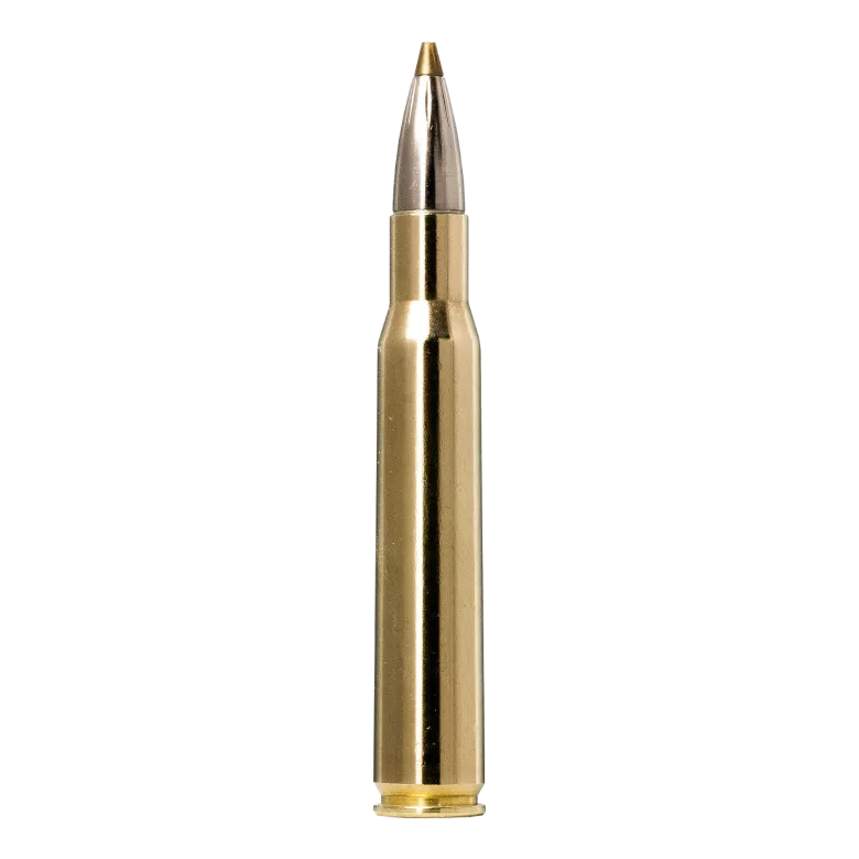 Evostrike | Ammunition