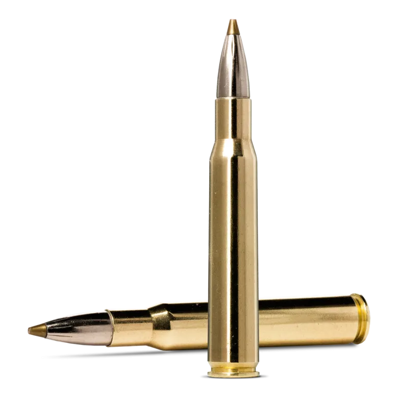 Evostrike | Ammunition