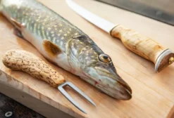 Fish Spike