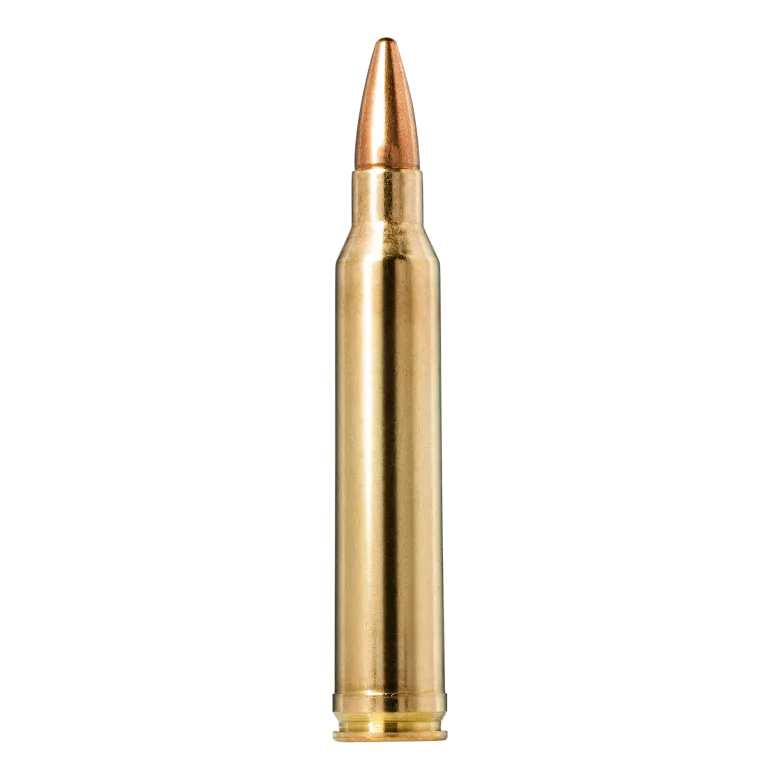 FMJ Jaktmatch | Ammunition