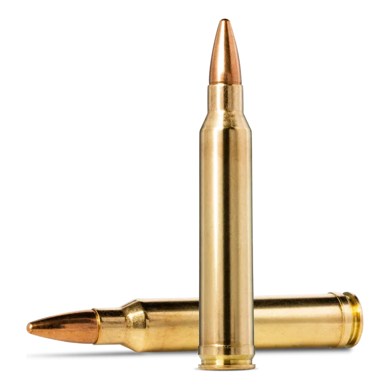 FMJ Jaktmatch | Ammunition