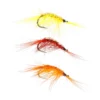 Gammarus