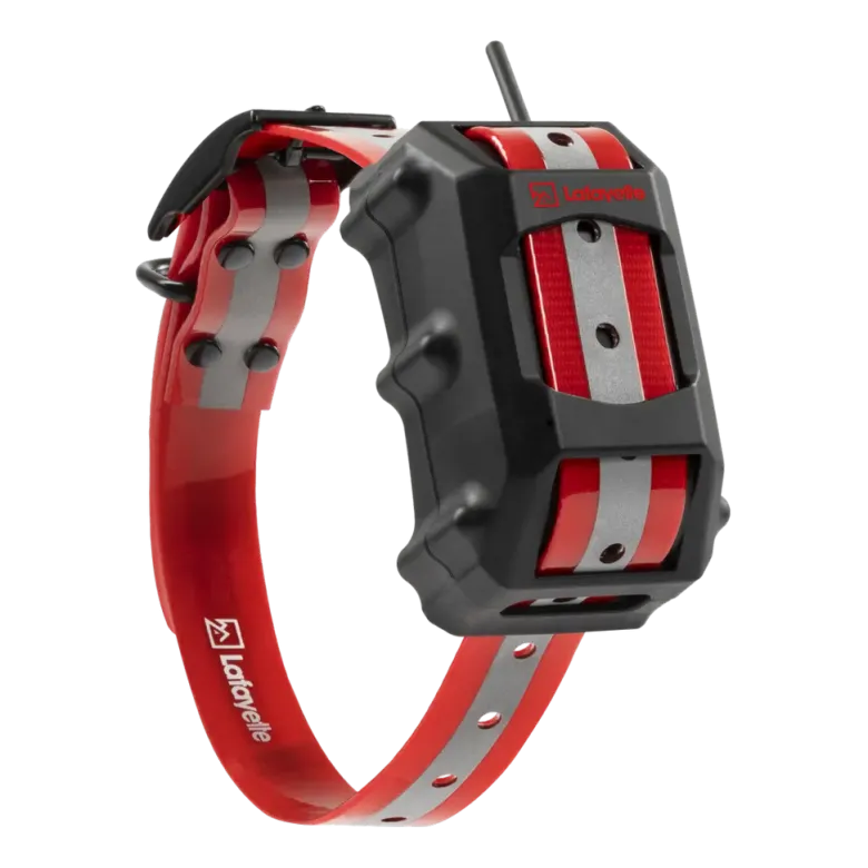 GPS C40