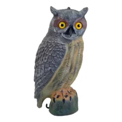 Great Horned Owl / Uv-Bulvan