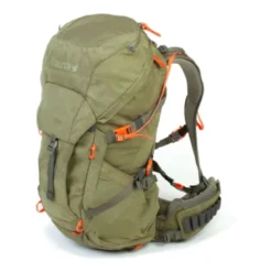 Kinglet 35