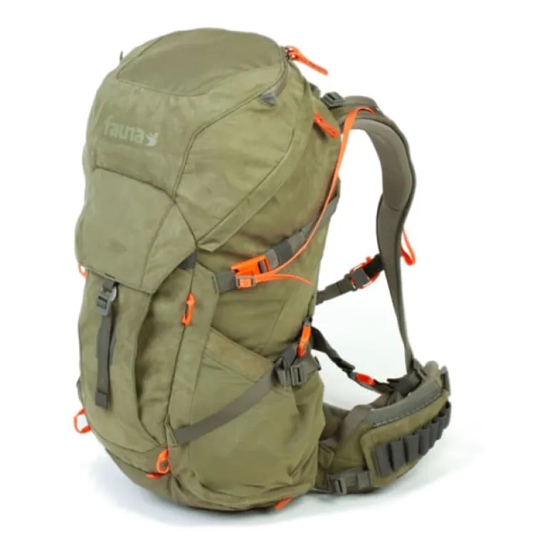 Kinglet 35