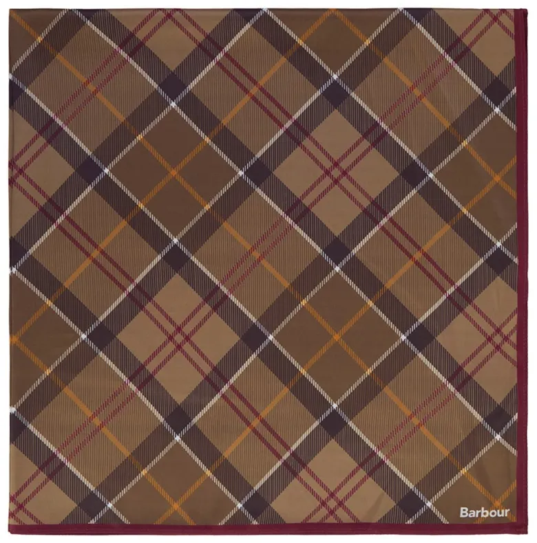 Kinsale Tartan Head Scarf | Muted Tartan