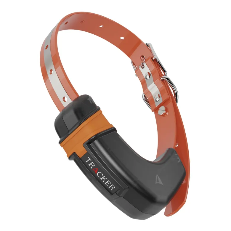 Luna 4G IoT
