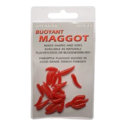 Maggots