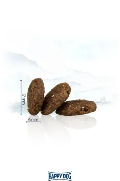 Medium Adult
