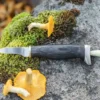 Mushroom Knife