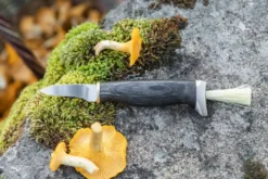 Mushroom Knife