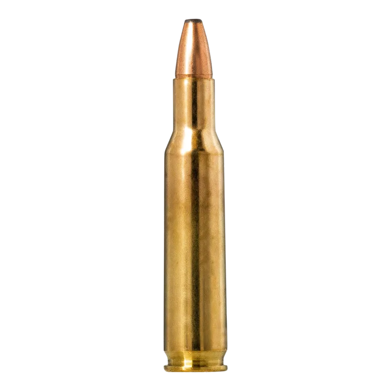 Oryx | Ammunition
