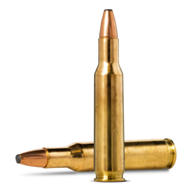 Oryx | Ammunition