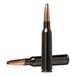 Oryx Silencer | Ammunition