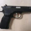 P19 Combat