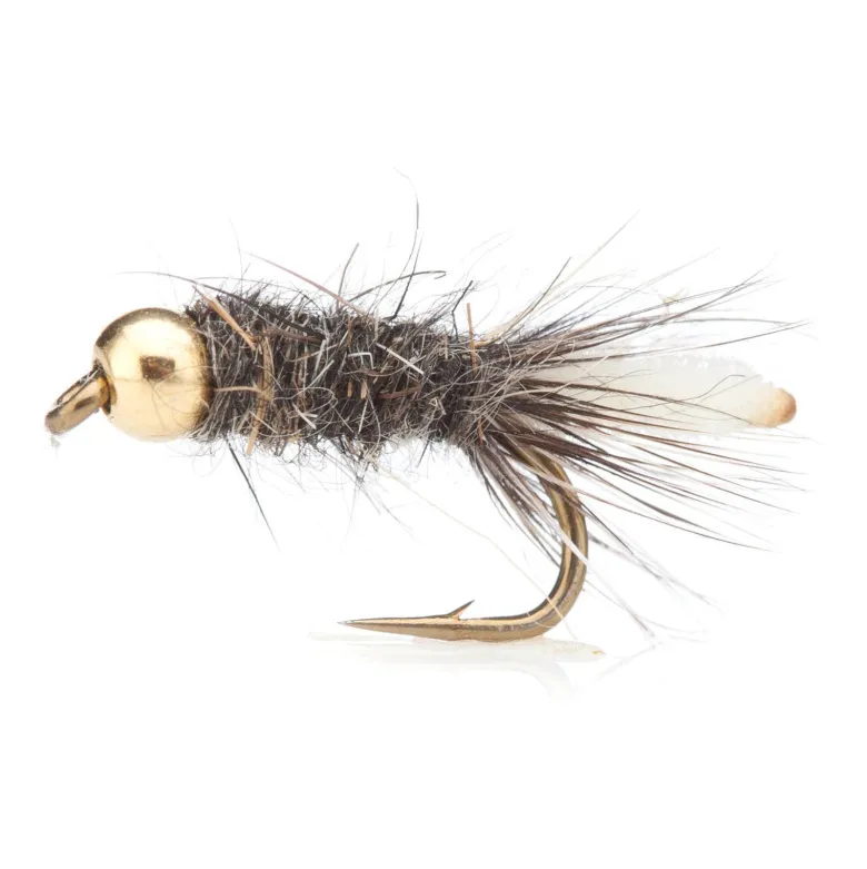 Peeping Caddis