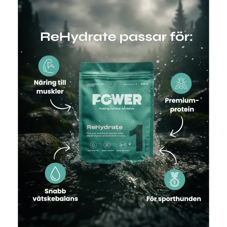 Power Rehydrate | 500g