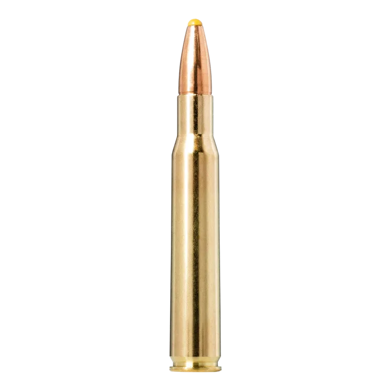 PPDC | Ammunition
