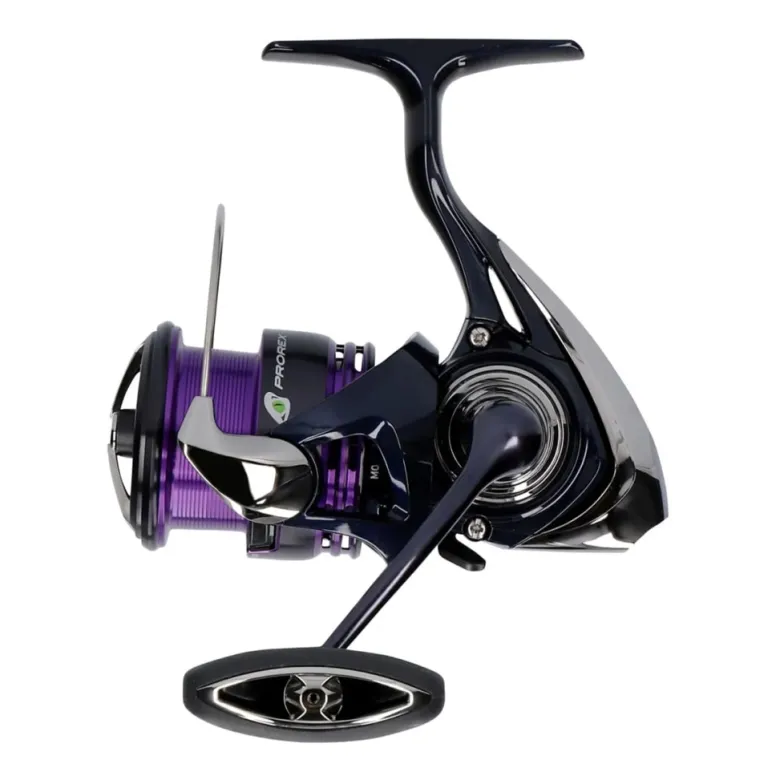 24 Prorex X | LT 2500