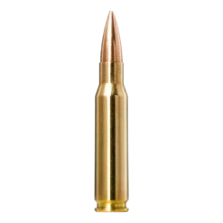 Range & Training Indoor | Ammunition
