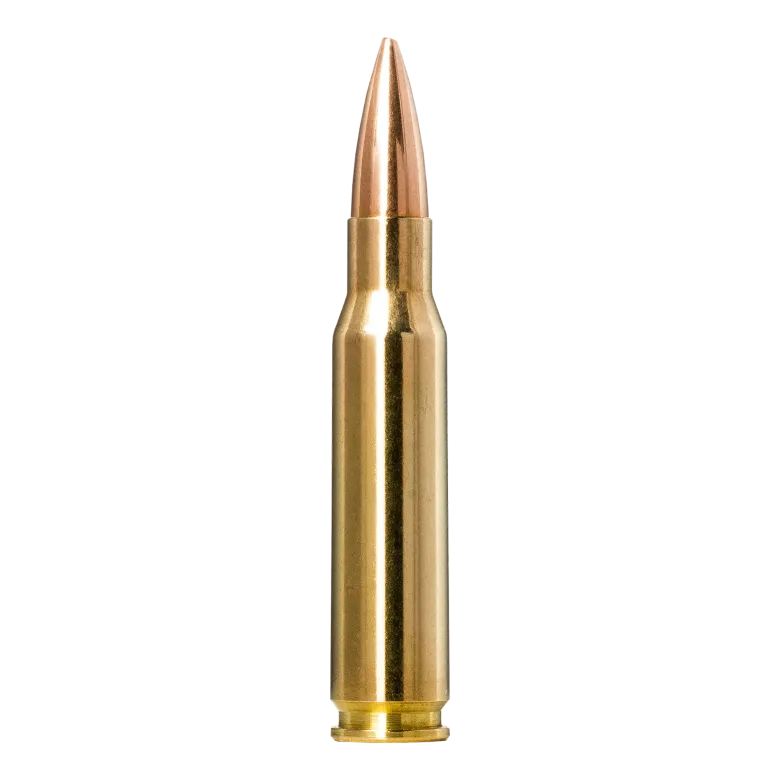 Range & Training Indoor | Ammunition
