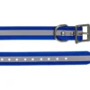 Reflexhalsband Artemis/R10/R10i