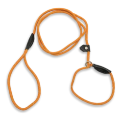 Retriverkoppel 180cm - Orange
