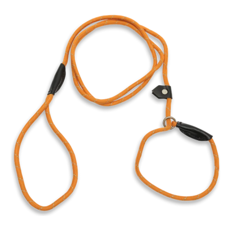 Retriverkoppel 180cm - Orange