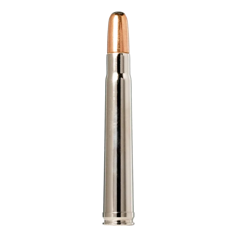 RNSN | Ammunition