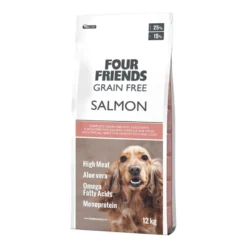 Salmon